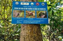The Hidden Trails of Cat Ba