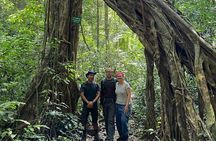 The Hidden Trails of Cat Ba