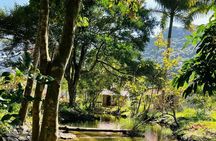 The Hidden Trails of Cat Ba