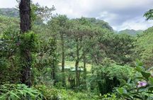 Cat Ba Island Getaway