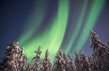 Northern Lights Hunt & Photography Experience