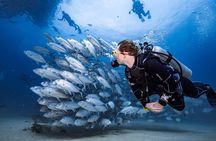 Beginner Diving 2 Dive Spots with Lunch & Transfers :Hurghada