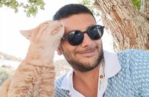 For Cruisers: Garfield & Cats of Ephesus Tour with LUNCH