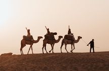Camel Ride, Quad, Canyon Visit, Sandboarding and Dinner in Agadir