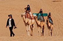 Camel Ride, Quad, Canyon Visit, Sandboarding and Dinner in Agadir