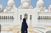 Abu Dhabi Aladdin Tour: Grand Mosque, Etihad, Palace, & Louvre