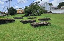 Nevis Island Historical Private Tour