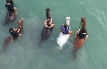 Antigua Horse Ride and Swim