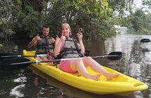 Tortuguero National Park Canal Kayaking Tour