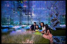 Full-Day Dubai City Private Tour with Multi Attractions