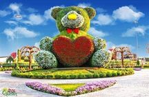 Full-Day Dubai City Private Tour with Multi Attractions