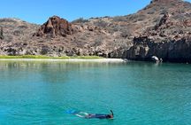 Snorkeling Adventure with Picnic from Villa del Palmar Hotel