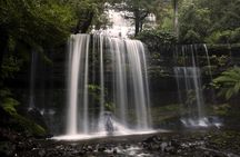 Hobart: Waterfalls, Wilderness & Wildlife - Active Day Tour
