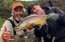 Expert Fly Fishing Adventures with Matt Butler from Te Anau