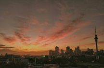 Auckland Urban Charm Half Day Tour