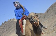 Jeep, ATV, Buggy, StarWatching & Dinner Golden Safari :Marsa Alam