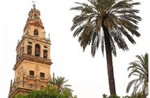 Guided Tour Cathedral of Cordoba Mosque