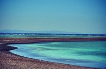 Blue Hole & Canyon By Bus with Camel & Lunch - Sharm El Sheikh 