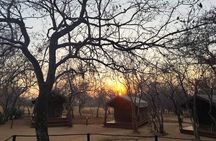 3 Day Glamping Safari in Kruger National Park 
