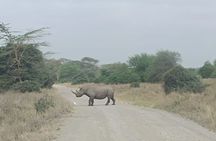 4 Days Luxury Lake Nakuru and Masai Mara