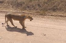 4 Days Luxury Lake Nakuru and Masai Mara