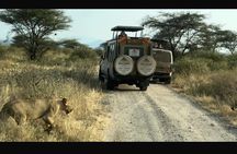 4 Days Luxury Lake Nakuru and Masai Mara