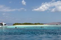 Full Day Open Trip Komodo