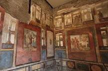 Discover Pompeii: Guided Tour with Official Ticket & Fast Access