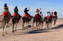 Agafay Quad, Camel and Lunch with Locals 