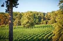 Chilterns Blue Line Wine Tour Explore Boutique Vineyards