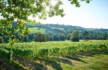 Chilterns Blue Line Wine Tour Explore Boutique Vineyards