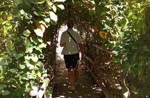 Explore Botanical Garden Mountain Views and Culture in Crete