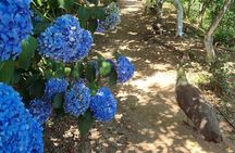 Explore Botanical Garden Mountain Views and Culture in Crete