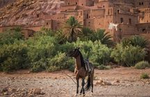 3 Day Sahara Desert Trip with Camel Ride from Marrakech