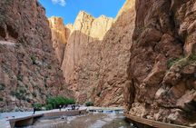3 Day Sahara Desert Trip with Camel Ride from Marrakech