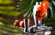 Mix Like a Local Argentine Cocktail Workshop in Palermo