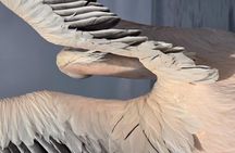 Sandwich Harbour 4x4 Tours and Pelican Point Tours