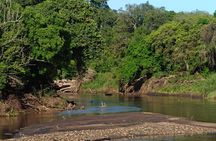 3-Day Private Family Safari Experience with Comfort for Children