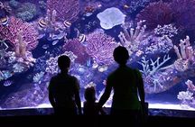 Antalya Aquarium & Fun Park Tour–All-Inclusive with Hotel Pickup