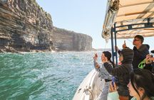 2-Hour Bondi Offshore Express Cruise