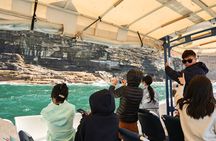 2-Hour Bondi Offshore Express Cruise