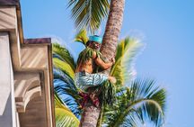 Ka Moana Lūʻau at Aloha Tower – Oceanfront Honolulu Luau Show