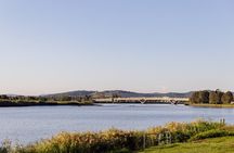 Hunter River Discovery Cruise with Lunch and Devonshire Tea