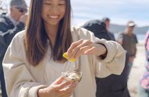 Bruny Island Food, Sightseeing, Guided Lighthouse Tour & Lunch