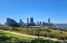 Perth, Penguin Isand, Dolphin Cruise, Fremantle & Sunset Coast