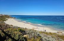 Perth, Penguin Isand, Dolphin Cruise, Fremantle & Sunset Coast