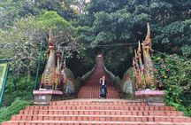 3 experiences: Doi Suthep Temple, Wat Phalat & monks trails hike