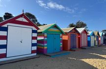 Phillip Island and Moonlit Sanctuary Premium Day Tour Small group