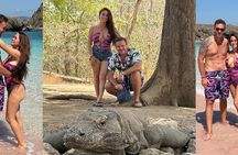Full Day Open Trip Komodo