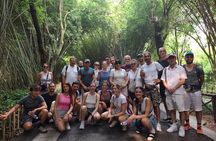 Chengdu: Panda Base Leshan Buddha Tour(or Half Day Panda Base )